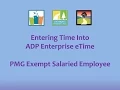 PMG Salaried Login and Time Entry - JAVA