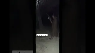  بساتين  مندلي  جيسي  ايراني دندنها