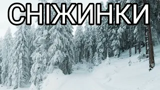 Сніжинки ON THE BRINK 