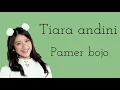Download Lagu Tiara andini - Pamer Bojo (Didi kempot) Lirik