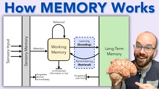 Why You Forget Everything You Learn...and what to DO about it!