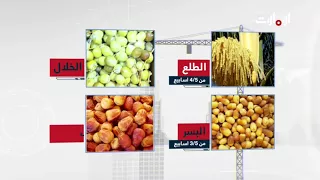 ما هي مراحل النمو الخمس التي تمر بها ثمرة التمر صنع في الإمارات 