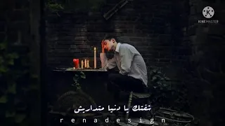 علي كل لون شوفتك يادنيا حالة 