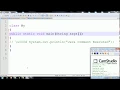 Java Comment Executed By Pankaj Panjwani Hindi