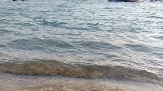 ياساكنى مطروح النية في بحركم دندنها
