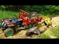 Lagu The girl picking grass in the mud meets a giant turtle - Transporting turtles by truck