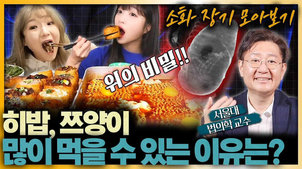 (1시간 순삭) 열심히 먹은 당신.. 보아라! 설 특집 장기 모음_zip (위, 담낭, 소장)