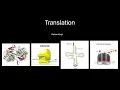 Download Lagu Translation Lecture