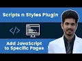 Scripts n Styles Plugin How to Add to WordPress Pages