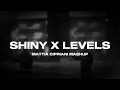 SHINY X LEVELS (Easykid, Avicii) [Mattia Cipriani Mashup]