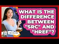 What Is The Difference Between src And href