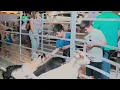 Collier Fair 2024 - V1