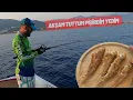 Download Lagu 📌Akdeniz’de Bir Balıkçının Hikâyesi! 🐟Balık Tut🎣,Pişir 🍲Tadını Çıkar ♥️!