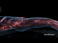 Whole Body Rejuvenation - Body Healing and DNA Regeneration, Boost Immune System, Meditation