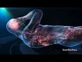 Whole Body Rejuvenation - Body Healing and DNA Regeneration Boost Immune System Meditation