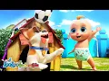 Download Lagu Lagu Kalau kau suka hati + Roda di Bus | Lagu Anak Anak | LooLoo Indonesia