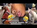 Lagu RANDOM HIBURAN WARGA+62 😂😂 Video Lucu Ngakak Sampai Nangis, Random Banget | Memes | Tahan Tawa