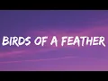 Download Lagu Billie Eilish - BIRDS OF A FEATHER (Lyrics)