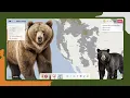 The Ultimate Free Map Tool You Need
