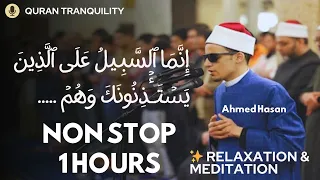 The Most Beautiful Quran Recitation 1 Hour Of Tranquility Qari Mohammaed Ahmed Hassan 