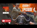 Download Lagu Dodging Duggaboys - Episode 4 - Season 7 - This is Africa