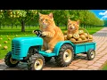 Download Lagu Mama Cat Falls at Construction Site Kitten Becomes a Hero \u0026 Makes Tiger Hat For Kittens At Home 🐾🧶🥚