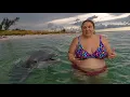 Swimming With Dolphins On ANNA MARIA ISLAND Katie Afraid Of Being Arrested After Police Check Us