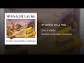 El Camino De La Vida - Silva y Villalba