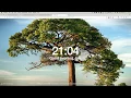 Conditionals Exercise Solutions Explained - The Web Developer Bootcamp