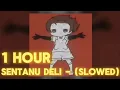 Download Lagu 1 HOUR SENTANU DELI - (SLOWED + REVERB) | TIKTOK VERSION x \