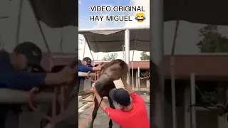 VIDEO ORIGINAL HAY MIGUEL 😂🤣