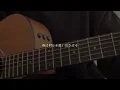 ネーブルオレンジ / 乃木坂46 (cover)
