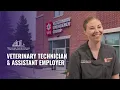VEG Testimonial Working with MCC Vet Assistants Vet Techs