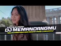 Download Lagu DJ Memandangmu - Ikke Nurjanah Remix Slow Bass