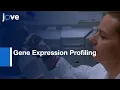 Gene Expression Profiling by High Quality Transcriptome Data Protocol