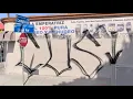 Miembros de la pandilla Compton Varrio Segundo asesinados por el hermano de un companero pandillero