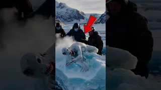 Creatures Beyond The Ice Wall 