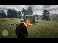 Red Dead Redemption 2 Charlottes Stalker
