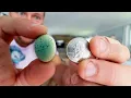 What comes out of an egg this SMALL The 16 day hatching adventure