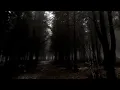Download Lagu Pink Blood - Fear (Official Music Video)