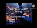 JOOTA JAPANI lofi song