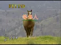 尤雅-等無人.mpg