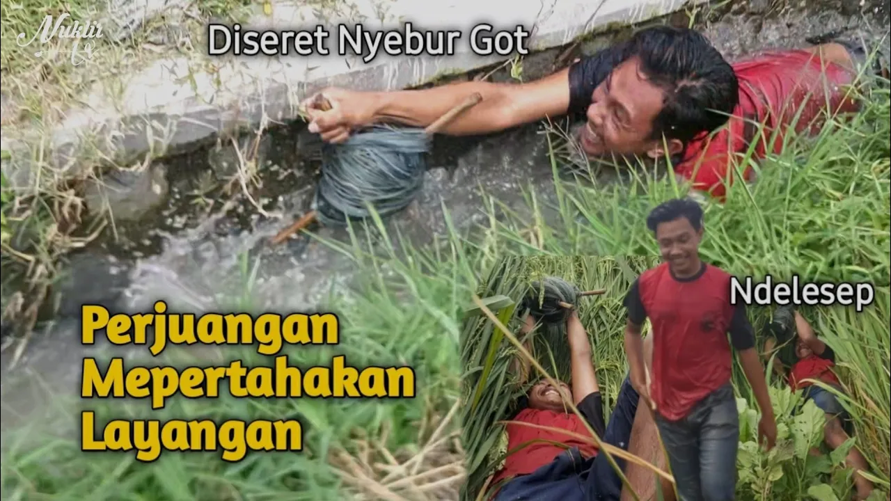 Nyebur Got Perjuangan Jatuh Bangun Terseret Layangan - Amukan Layangan Margoni