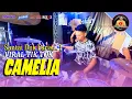 Download Lagu CAMELIA VIRAL TIK TOK VERSI FARIS KENDANG TERBARU