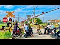 Download Lagu Perlintasan Unik Kereta Api Tumbal Pemalang, Jawa Tengah