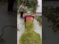 Download Lagu Garas 🌴🌾 cutter ✂️ electric, POWER CUTTER ✂️ // #youtubeshorts #shorts #farming #farmertools
