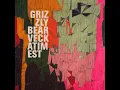 Grizzly Bear - Foreground (Instrumental)