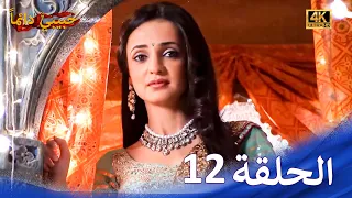 حبيبي دائما الحلقة 12 4K Rangrasiya 