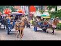 Download Lagu Naik Delman ~Lagu naik delman istimewa ~Lagu Populer Indonesia ~Lagu anak balita