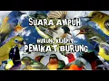 SUARA PIKAT BURUNG KEJEPIT BIKIN SEMUA BURUNG BERDATANGAN KEPO || suara pikat burung kejepit 1 jam